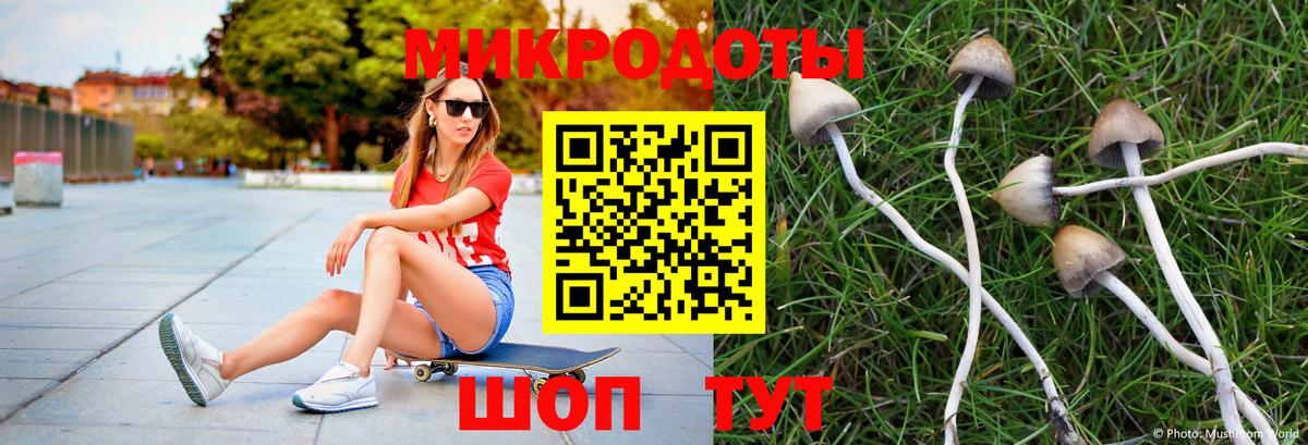 Псилоцибиновые грибы Psilocybine cubensis  Вход с VPN  Нурлат 